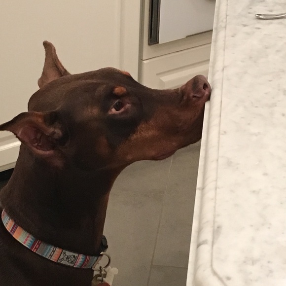 Meet your Posher, Giovanna - Picture 1 of 1